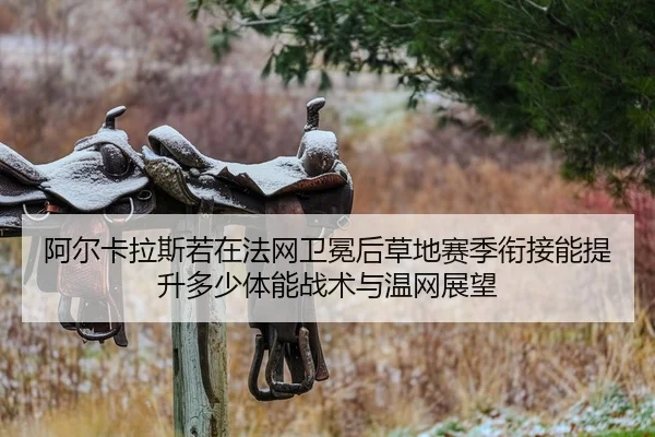 阿尔卡拉斯若在法网卫冕后草地赛季衔接能提升多少体能战术与温网展望