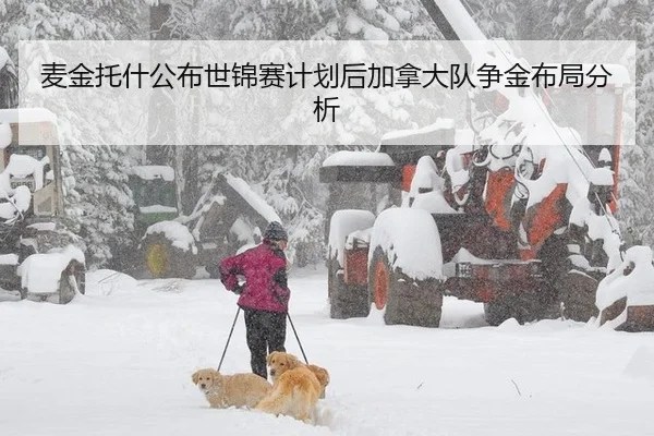 麦金托什公布世锦赛计划后加拿大队争金布局分析